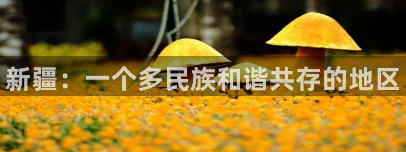 苹果版运达娱乐下载安装