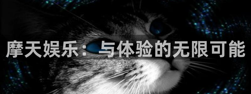 运达娱乐包怎么样