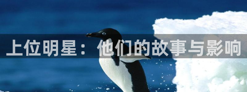 运达娱乐是真的吗：上位明星：他们的故事与影响