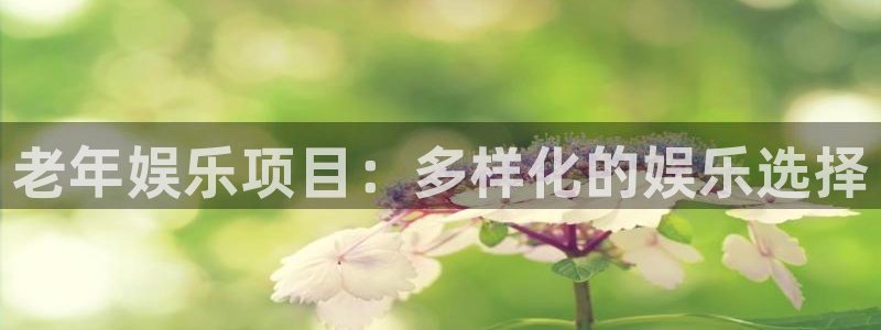 运达娱乐游戏有哪些好玩的：老年娱乐项目：多样化的娱乐选择