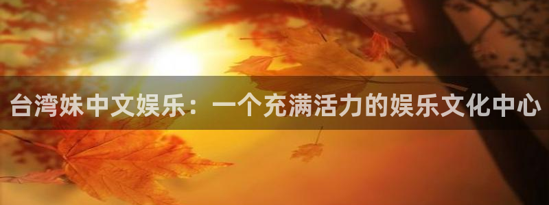运达娱乐分红代理计划：台湾妹中文娱乐：一个充满活力的娱乐文化中心