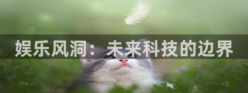 运达娱乐平台主管：娱乐风洞：未来科技的边界
