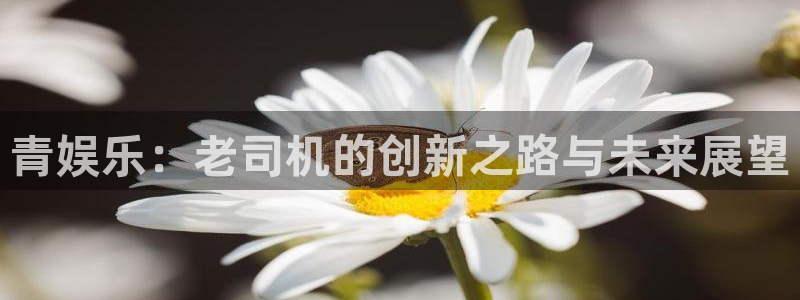 下载运达娱乐：青娱乐：老司机的创新之路与未来展望