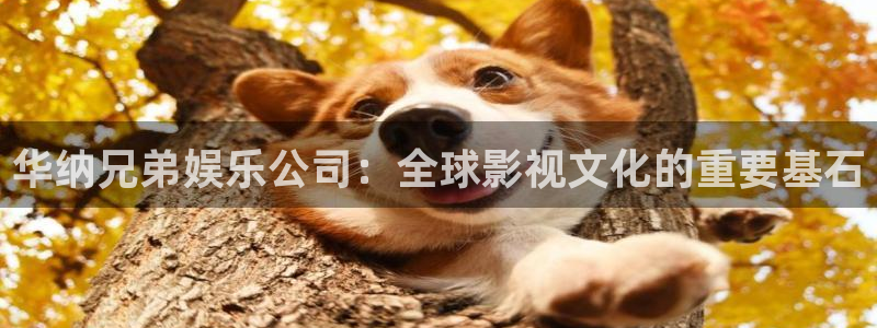 运达娱乐账号注册：华纳兄弟娱乐公司：全球影视文化的重要基石