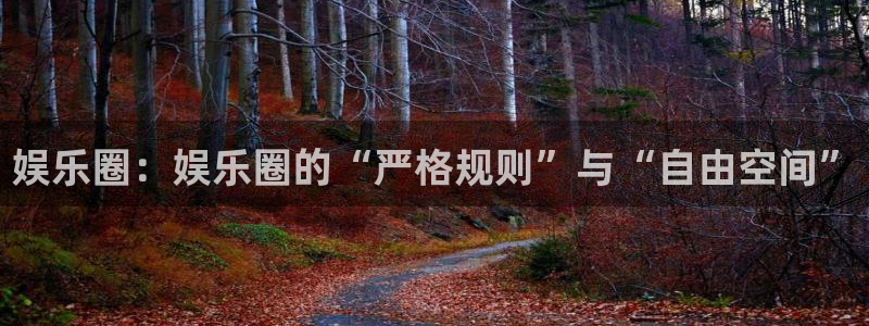 运达娱乐游戏官网版：娱乐圈：娱乐圈的“严格规则”与“自由空间”