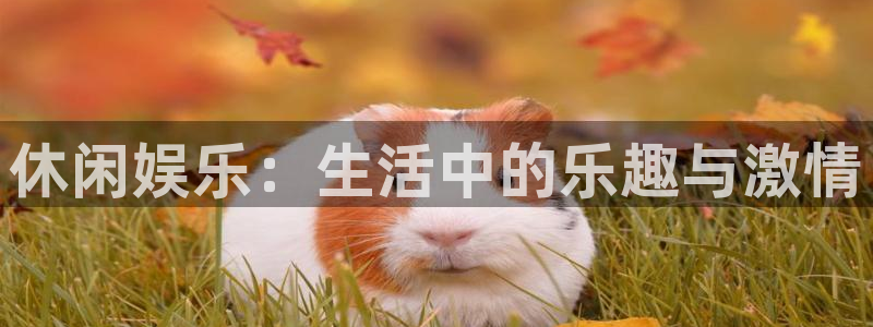 运达娱乐ccmpc麻将胡了：休闲娱乐：生活中的乐趣与激情