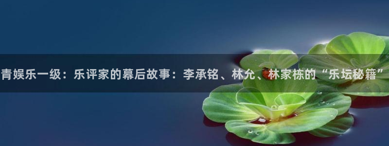 运达娱乐平台官网登录入口：青娱乐一级：乐评家的幕后故事：李承铭、林允、林家栋的“
