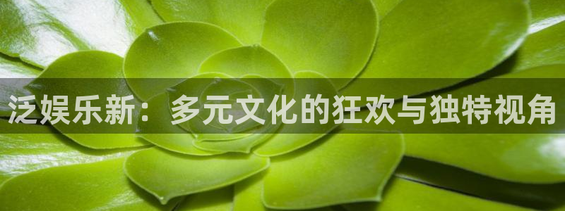 运达娱乐体育平台总代理：泛娱乐新：多元文化的狂欢与独特视角
