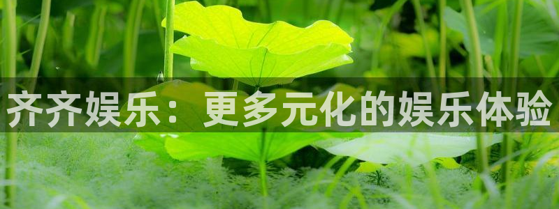 运达娱乐3官网登录：齐齐娱乐：更多元化的娱乐体验