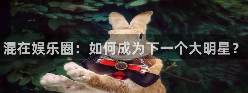 运达娱乐注册：混在娱乐圈：如何成为下一个大明星？