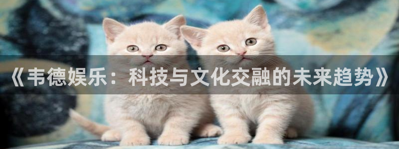 运达娱乐平台注册：《韦德娱乐：科技与文化交融的未来趋势》