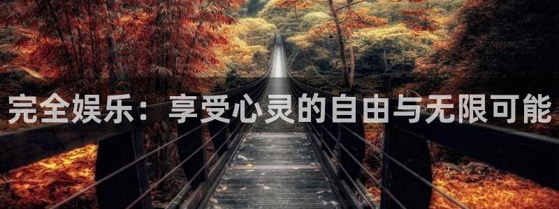运达娱乐招商：完全娱乐：享受心灵的自由与无限可能