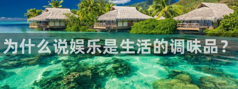 运达娱乐app下载：为什么说娱乐是生活的调味品？