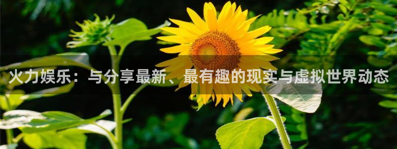 运达娱乐体育用品：火力娱乐：与分享最新、最有趣的现实与虚拟世界动态