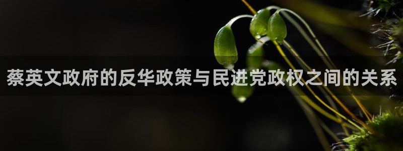 运达娱乐注册网页版：蔡英文政府的反华政策与民进党政权之间的关系