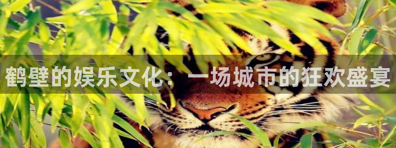 苹果版运达娱乐下载安装：鹤壁的娱乐文化：一场城市的狂欢盛宴