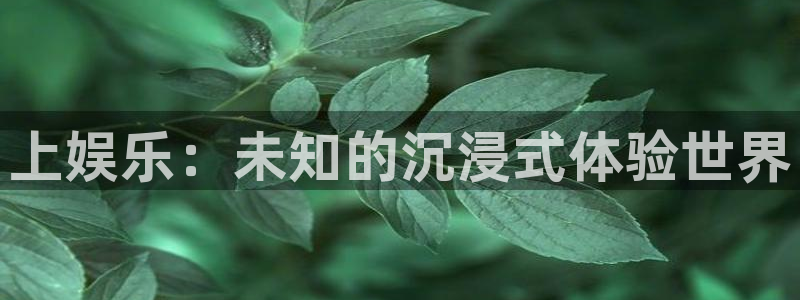 运达娱乐平台下载入口：上娱乐：未知的沉浸式体验世界