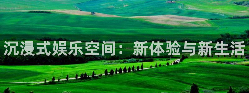 运达娱乐路线1：沉浸式娱乐空间：新体验与新生活
