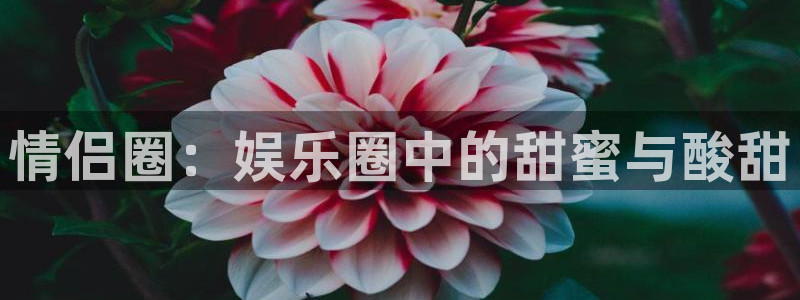 运达娱乐体育注册平台：情侣圈：娱乐圈中的甜蜜与酸甜