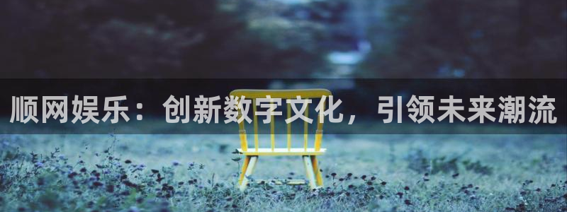 运达娱乐电子游戏网页版：顺网娱乐：创新数字文化，引领未来潮流
