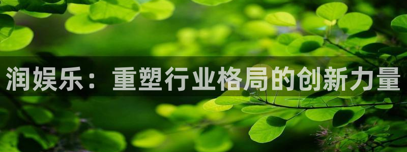 运达娱乐游戏官网入口：润娱乐：重塑行业格局的创新力量
