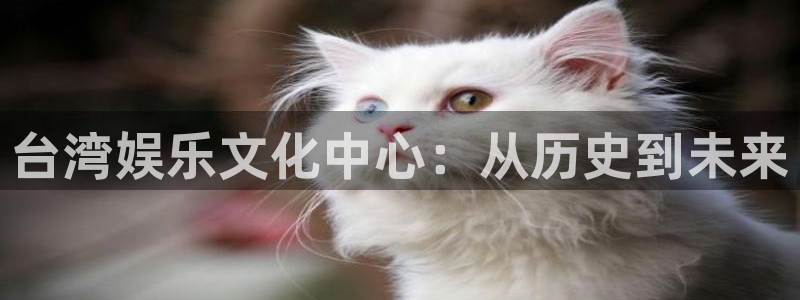 运达娱乐平台登录：台湾娱乐文化中心：从历史到未来