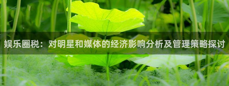 运达娱乐平台登录：娱乐圈税：对明星和媒体的经济影响分析及管理策略探讨