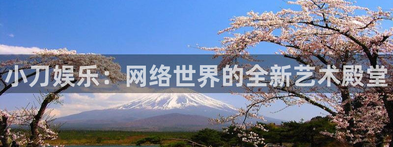 运达娱乐体育f开户：小刀娱乐：网络世界的全新艺术殿堂