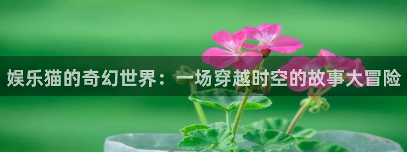 运达娱乐登录注册：娱乐猫的奇幻世界：一场穿越时空的故事大冒险