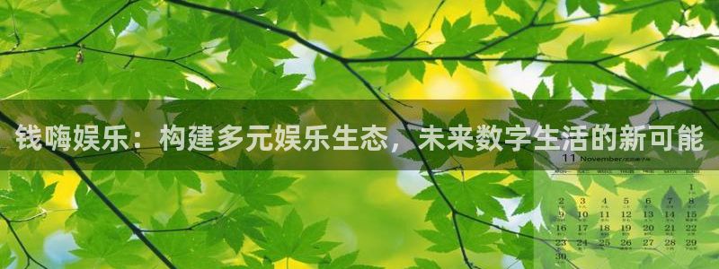运达娱乐2平台注册：钱嗨娱乐：构建多元娱乐生态，未来数字生活的新可能