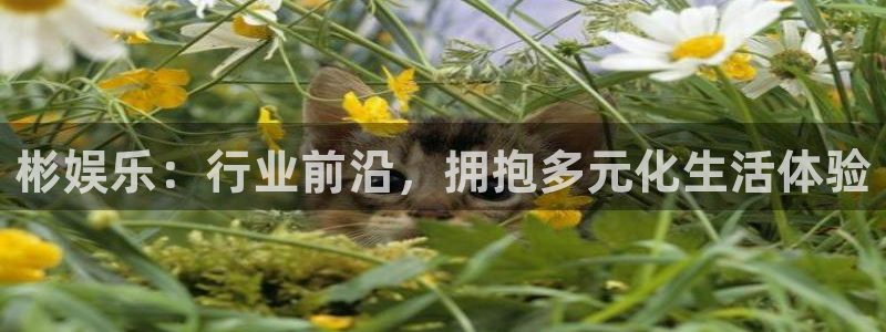 运达娱乐凯捷平台：彬娱乐：行业前沿，拥抱多元化生活体验