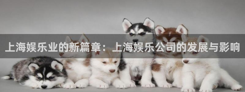 运达娱乐vk：上海娱乐业的新篇章：上海娱乐公司的发展与影响