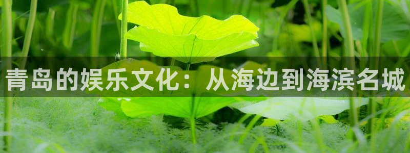 运达娱乐体育用品：青岛的娱乐文化：从海边到海滨名城